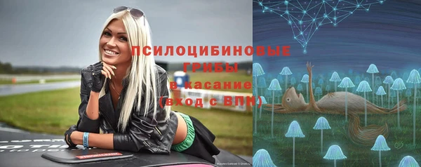 ГАЛЛЮЦИНОГЕННЫЕ ГРИБЫ Дмитров