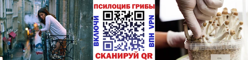 Купить закладки  Муравленко  Псилоцибиновые грибы Cubensis 